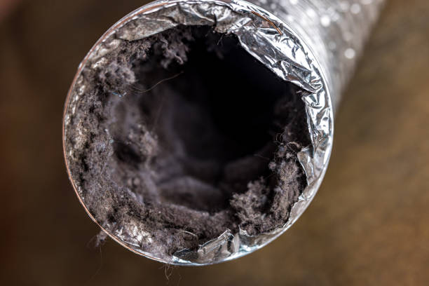 Best Affordable Duct Cleaning Services  in Brackenridge, PA